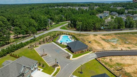 A home in Chapin