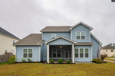 A home in Chapin