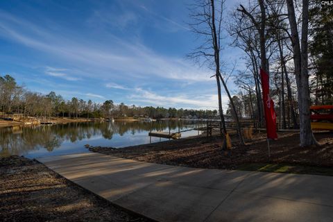 A home in Chapin