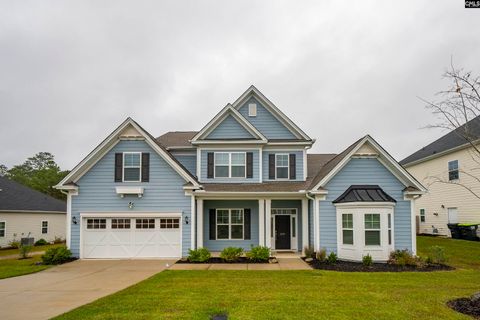 A home in Chapin