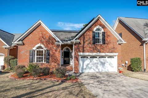 Photo of 180 Palm Street, Chapin, SC 29036 (MLS # 628872)