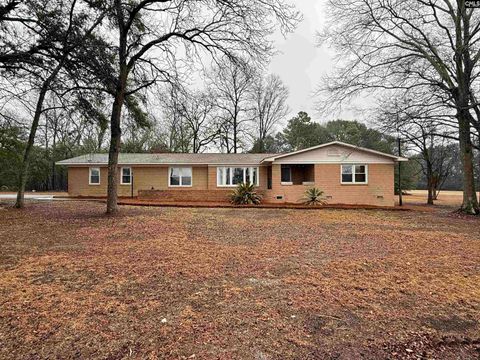 Photo of 960 Old Charleston Road, Pelion, SC 29123 (MLS # 626633)