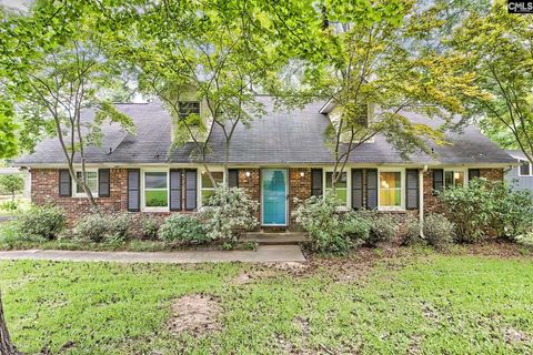 Photo of 2828 Woodland Hills Street, Columbia, SC 29210 (MLS # 636728)
