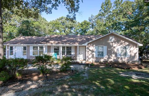 Photo of 217 Reseda Drive, Columbia, SC 29223 (MLS # 620228)