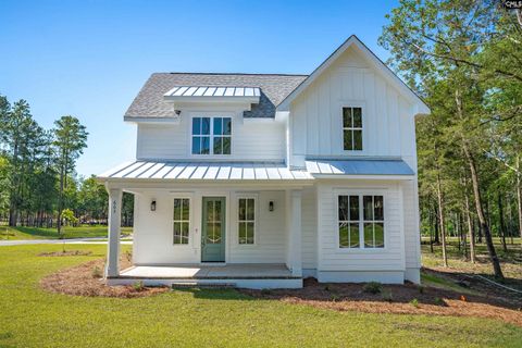 603 Misty Banks Drive, Chapin, SC 29036 - MLS#: 576099