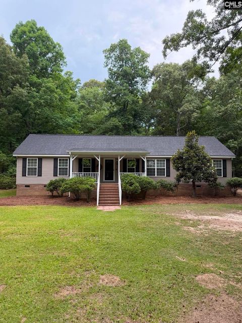 Photo of 1043 Eau Claire Drive, Chapin, SC 29036 (MLS # 634851)