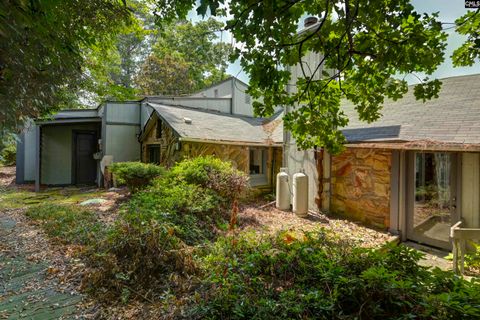 A home in Chapin