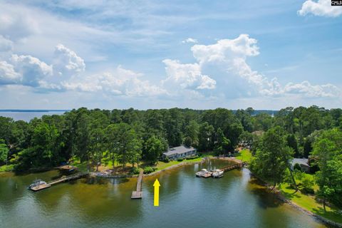 A home in Chapin