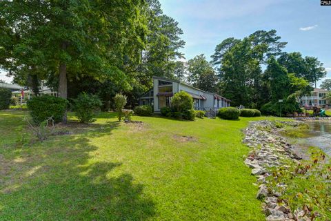 A home in Chapin