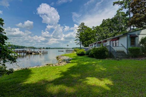 A home in Chapin