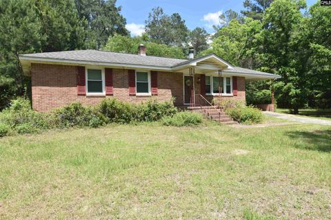 Single Family Residence in Leesville SC 655 South Brodie Road.jpg