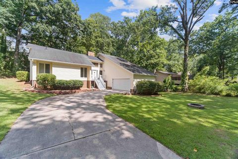 Photo of 1056 Lofty Pines Drive, Columbia, SC 29212 (MLS # 618746)