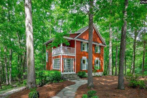 151 Eagle Chase Court Chapin Sc 29036