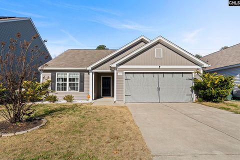 Photo of 145 Sundew Road Rd, Elgin, SC 29045 (MLS # 625995)