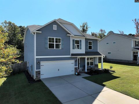 A home in Chapin