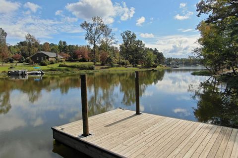 A home in Chapin