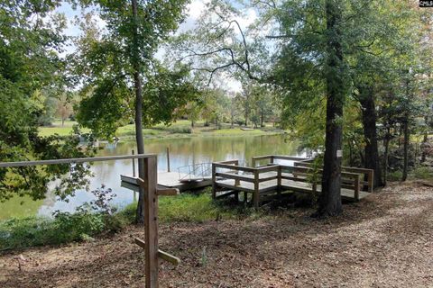 A home in Chapin