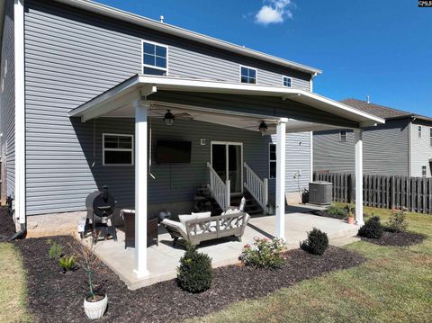 A home in Chapin