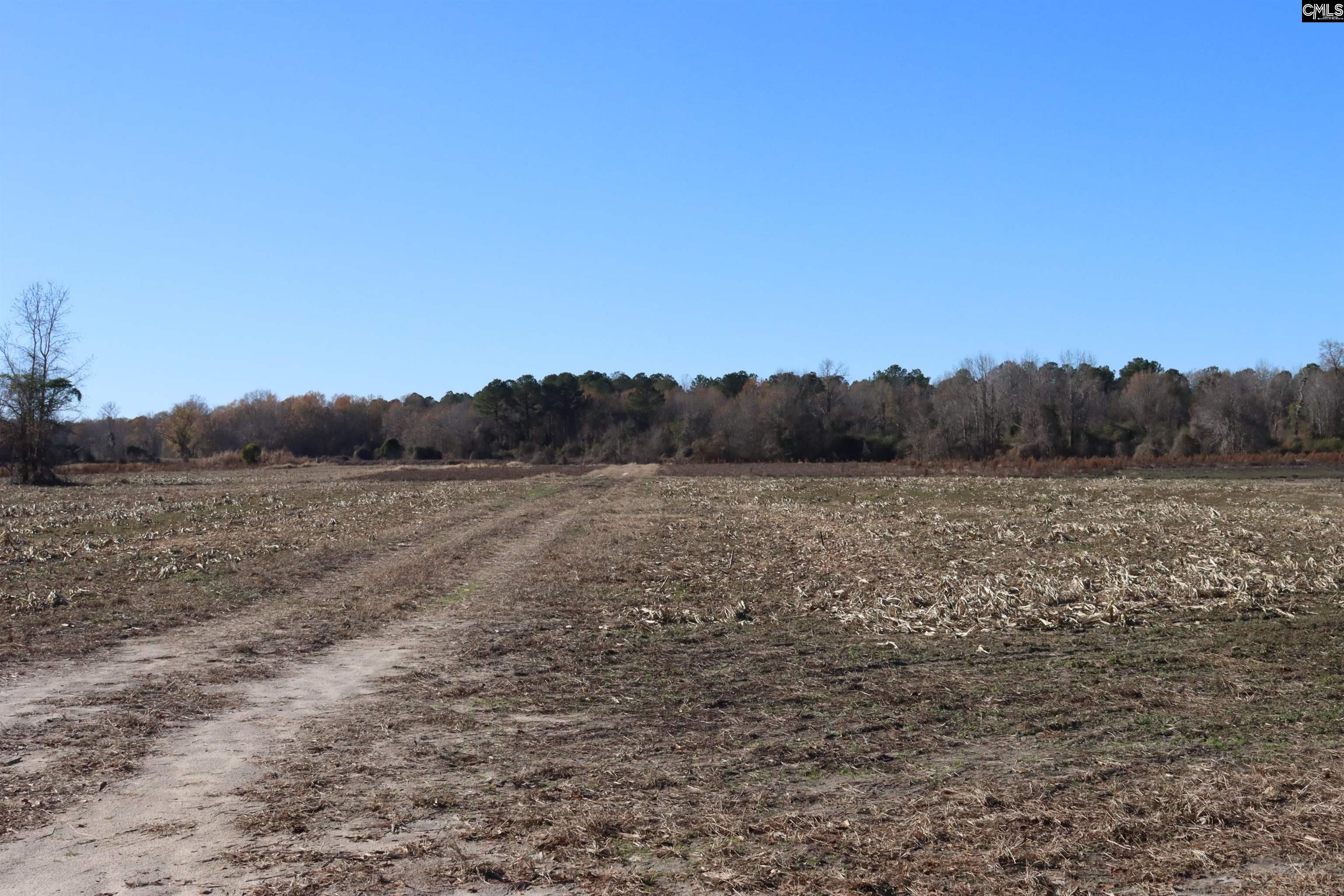 0 Highway 3 - Photo 2
