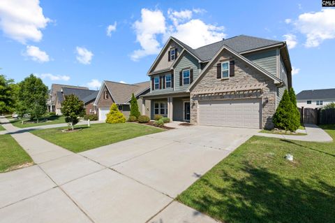 A home in Chapin