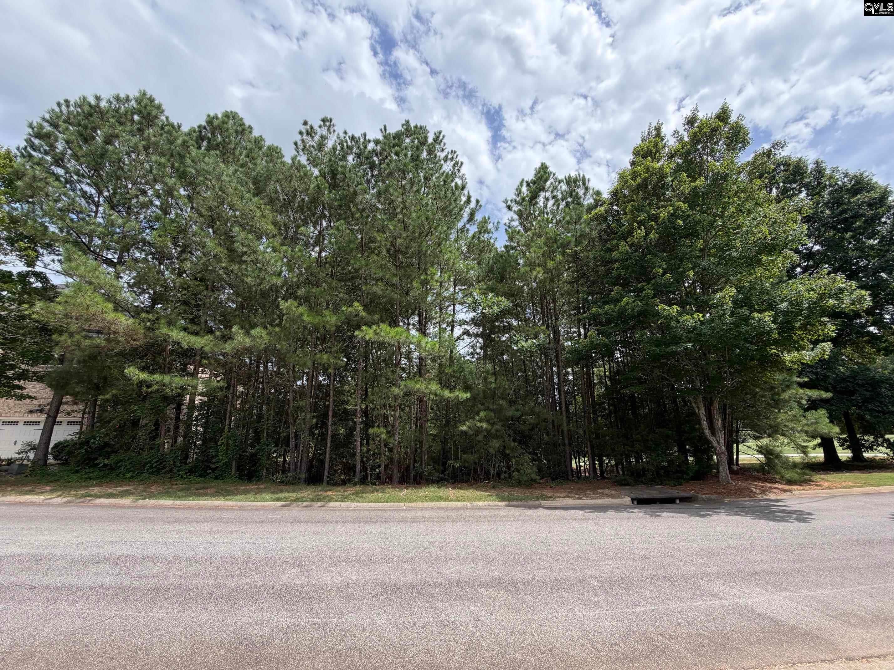 122 Peppermint Lane, Blythewood, SC, 29016