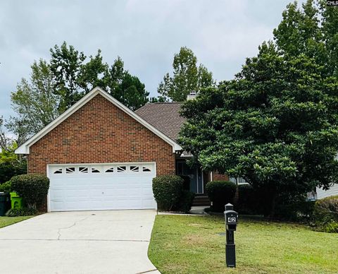 Photo of 42 Crown Point Court, Irmo, SC 29063 (MLS # 618507)