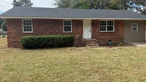 Photo of 42 Raven Drive, Bamberg, SC 29003 (MLS # 618859)