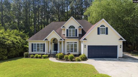 116 Rum Gully Lane Chapin Sc 29036