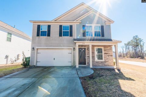 Photo of 228 Coppice Lane, Columbia, SC 29223 (MLS # 627382)