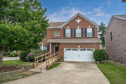 A home in Chapin