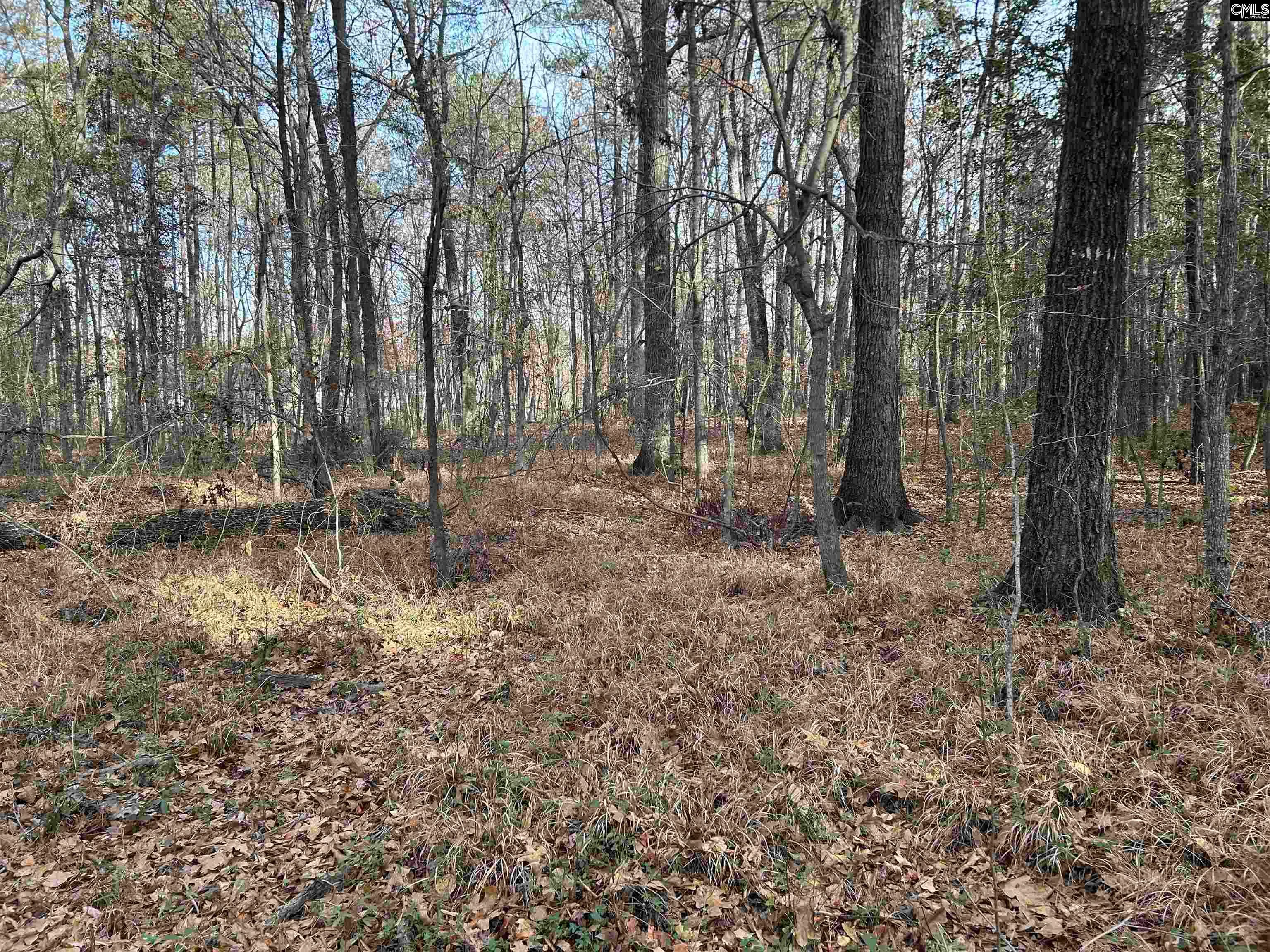 440 Paschal Road