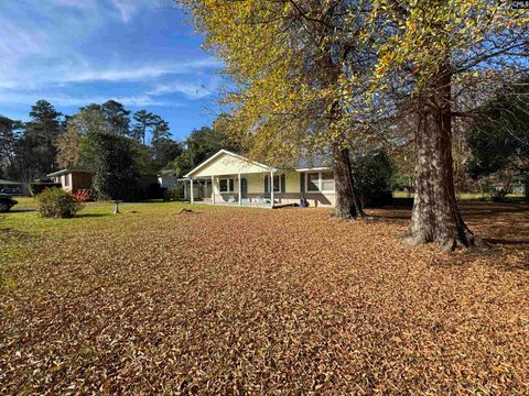 Photo of 2103 Marley Drive, Columbia, SC 29210 (MLS # 622702)