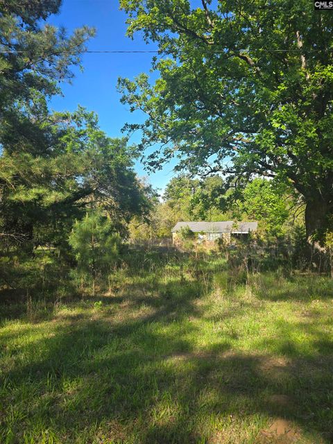Photo of 0000 St Barnabas Church Road, Jenkinsville, SC 29065 (MLS # 631071)