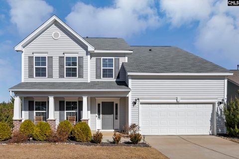 A home in Chapin