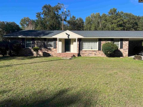 Photo of 413 Richards Street, Denmark, SC 29042 (MLS # 622273)