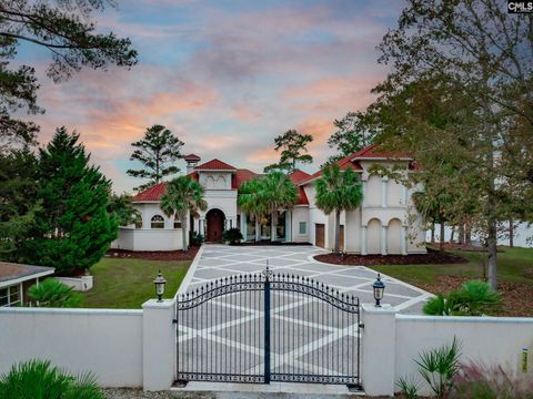 A home in Chapin