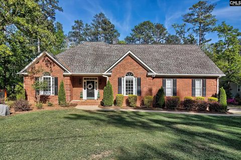 Photo of 1207 Silver Point Road, Chapin, SC 29036 (MLS # 631480)