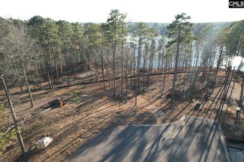 1533 Saugus Court Chapin Sc 29036