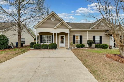 Photo of 309 Tidas Street, Lexington, SC 29063 (MLS # 629076)