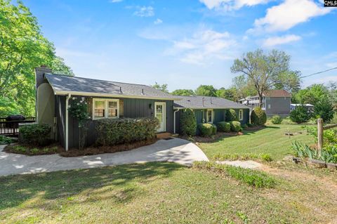 Photo of 414 Wood Willow Point, Chapin, SC 29036 (MLS # 632416)