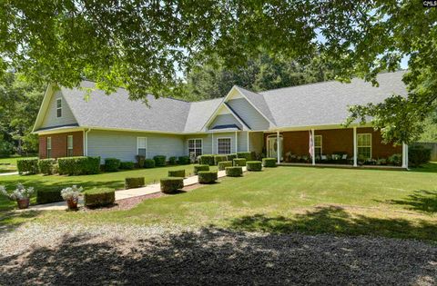 Photo of 366 Gallery Cliff Drive, Chapin, SC 29036 (MLS # 627545)