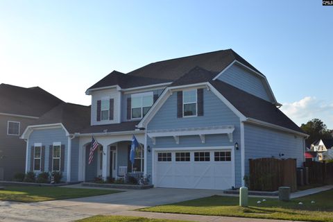 A home in Chapin