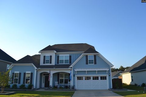 A home in Chapin