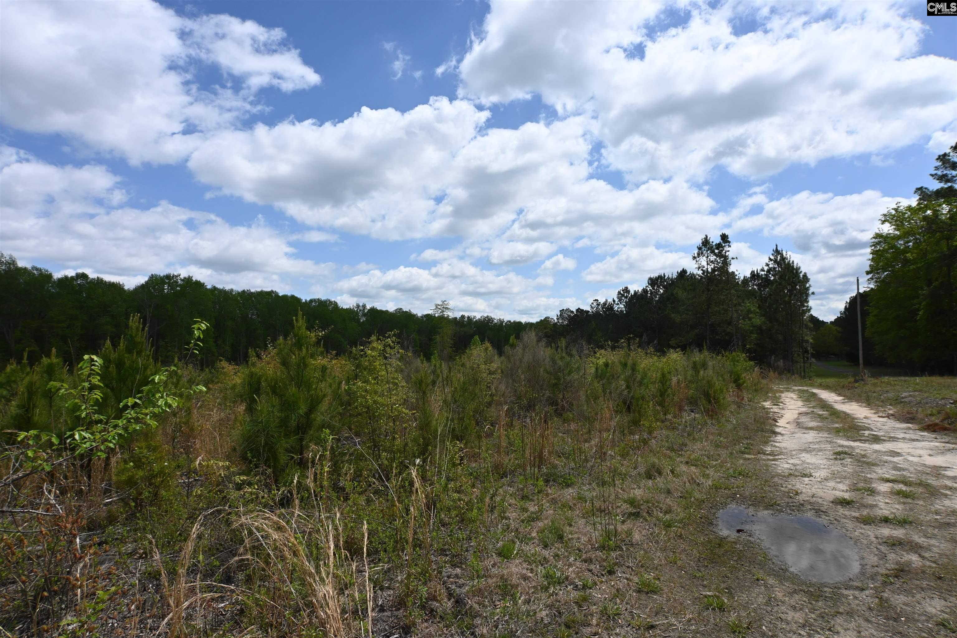 0 Platt Springs Road