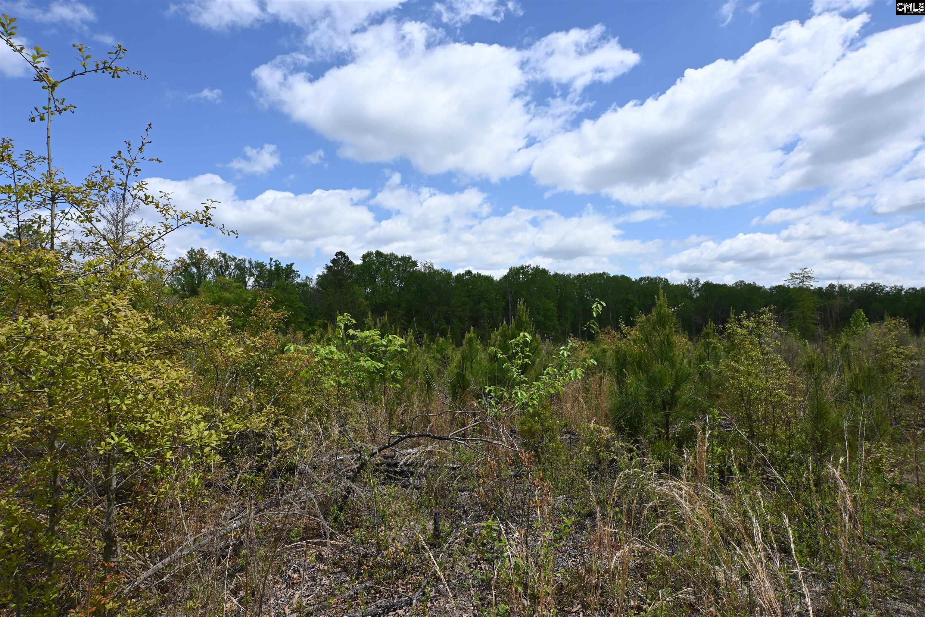 0 Platt Springs Road