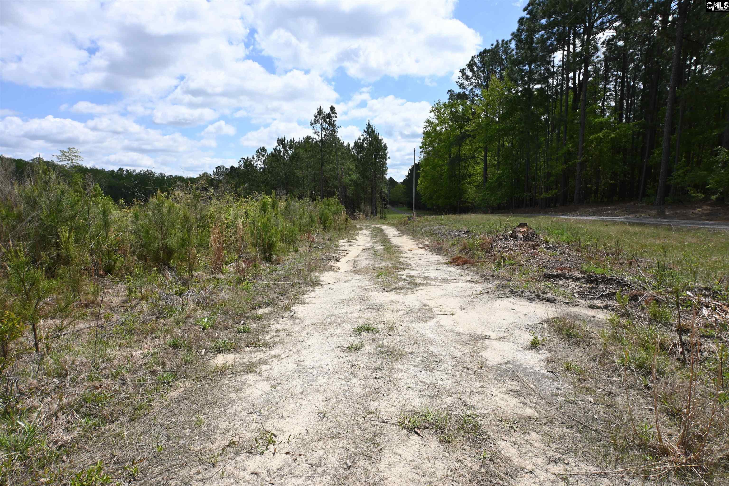 0 Platt Springs Road
