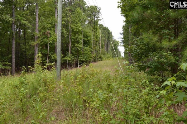 2087 LONGTOWN RD, RIDGEWAY, SC 29130 - Image 0c3bf72f33e8eaf25bb670bf7b7103bd/1011959745