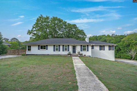 Photo of 220 Nance Street, Whitmire, SC 29178 (MLS # 633829)