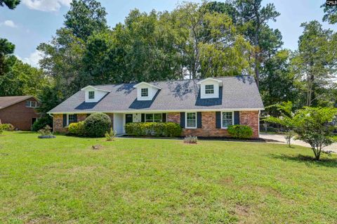 A home in Irmo