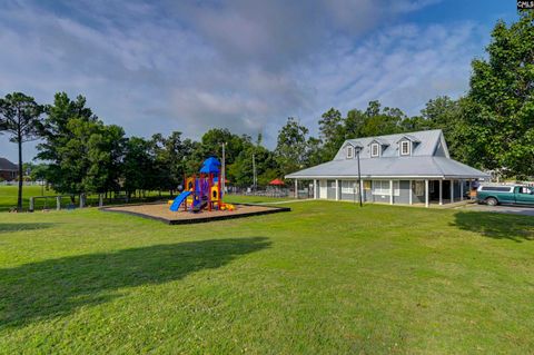 A home in Chapin